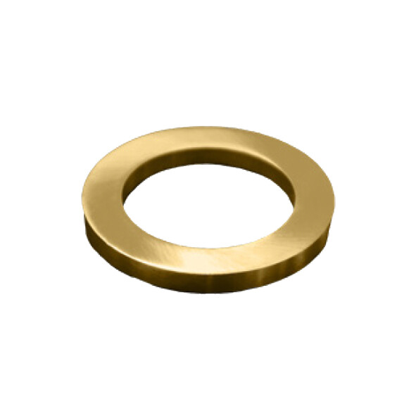 CARESSi CAROZG Rosette, lose (optional)für CA11xx