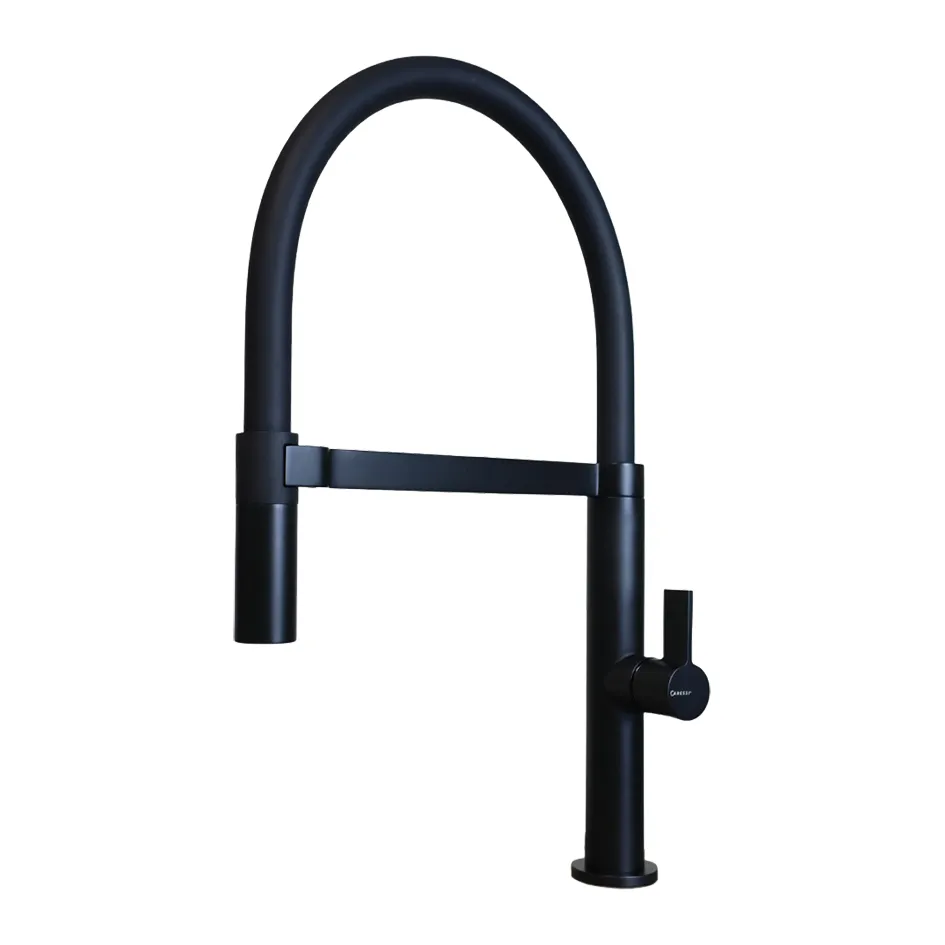 CARESSi CA1112BK ECO Edelstahl schwarz matt HD