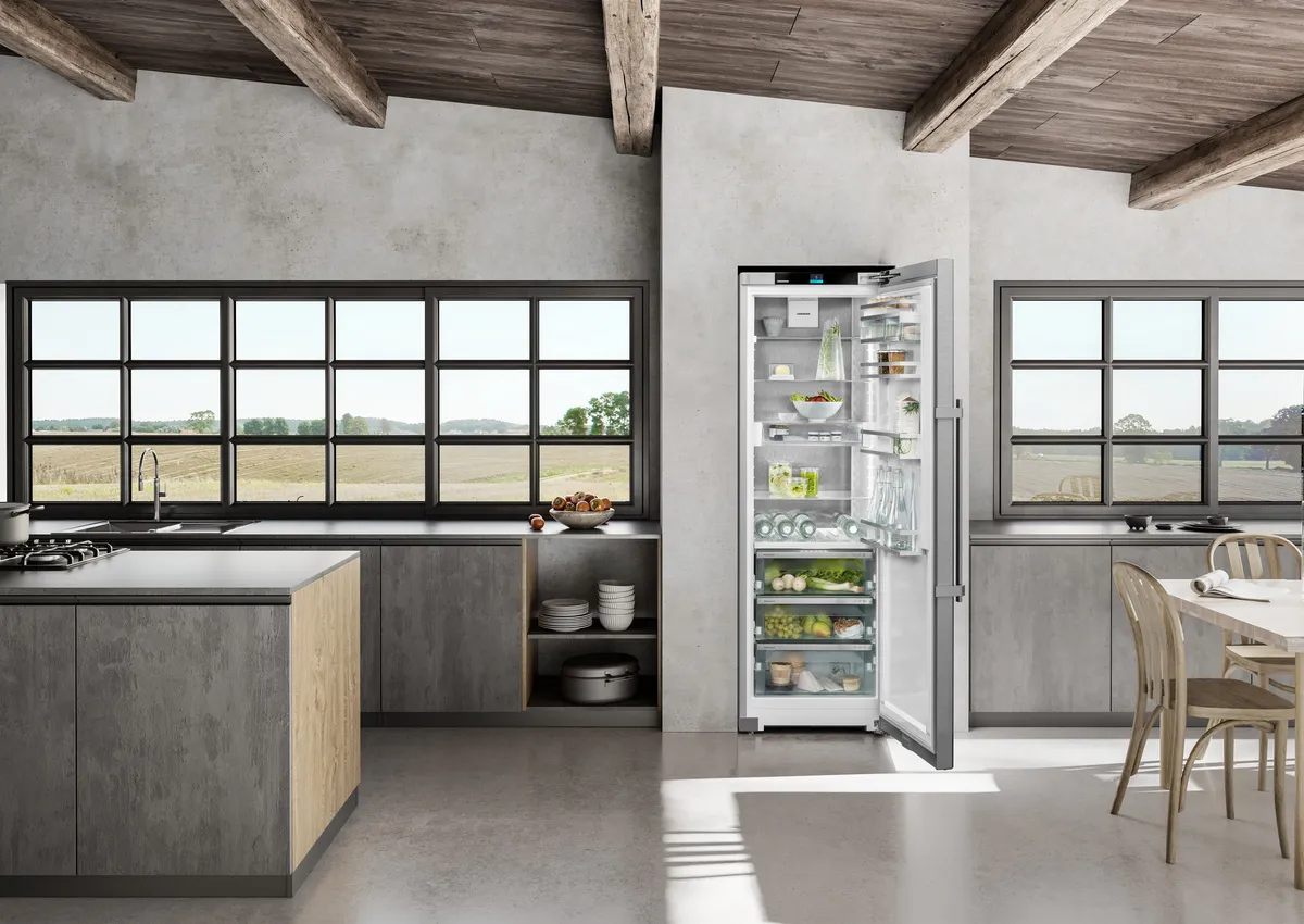 RBsdc 525i-22, Standkühlschrank mit BioFresh RBsdc 525i-22, Standkühlschrank mit BioFresh