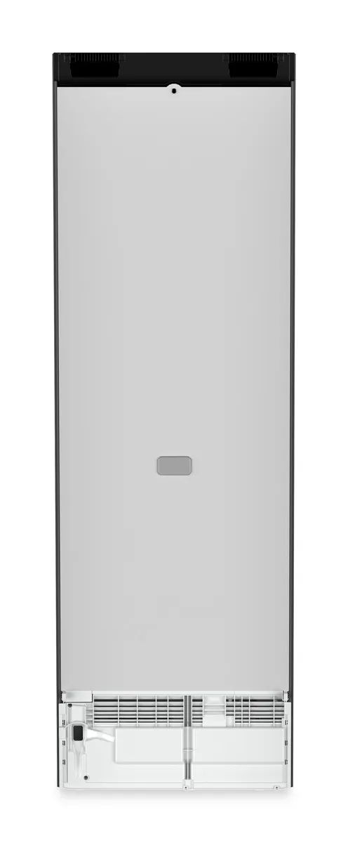 RBbsc 528i-22, Standkühlschrank mit BioFresh Professional RBbsc 528i-22, Standkühlschrank mit BioFresh Professional